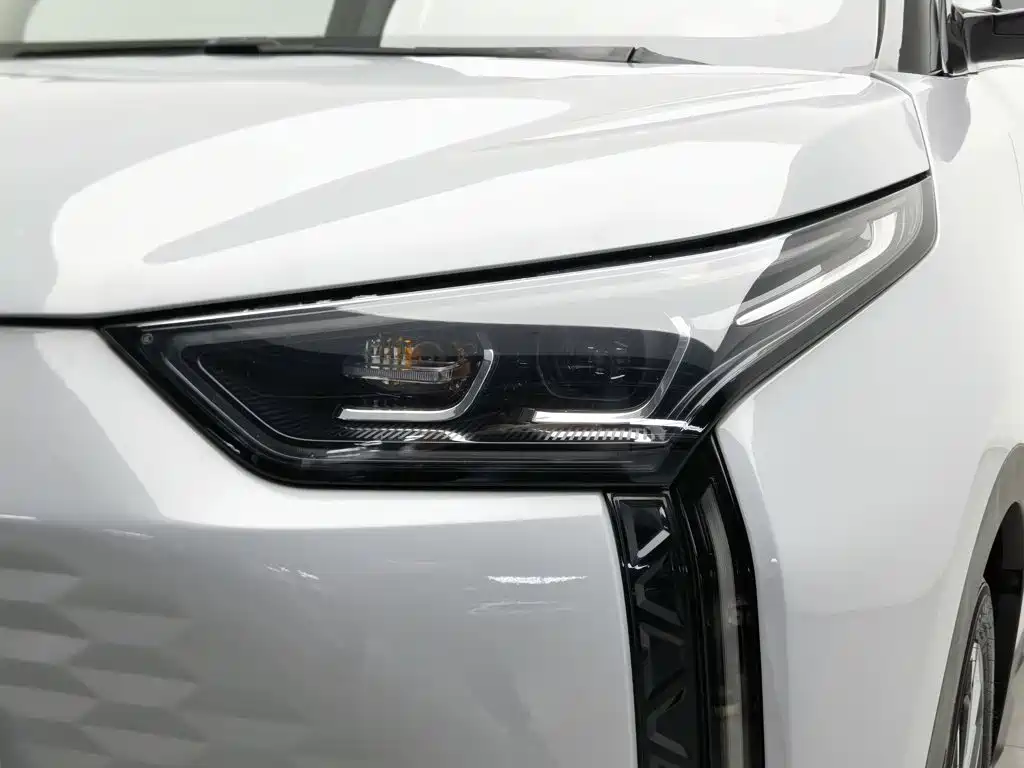 Chery New Energy Chery Wujie Pro 2023 2022 301km Warcraft Edition LFP