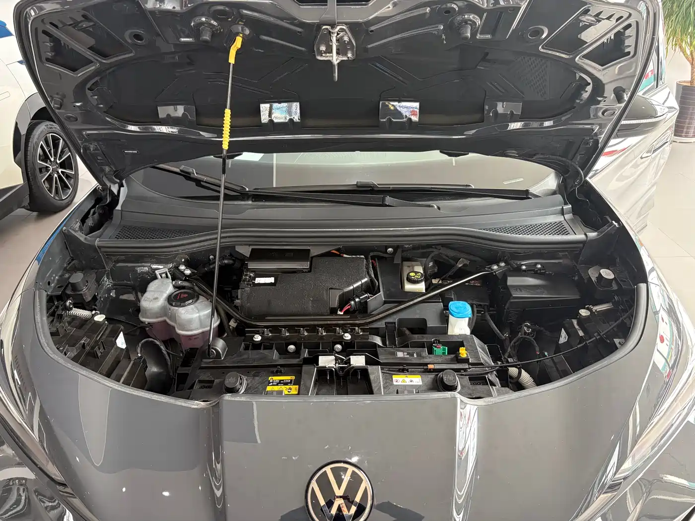 VOLKSWAGEN WITH THE CROWD 06