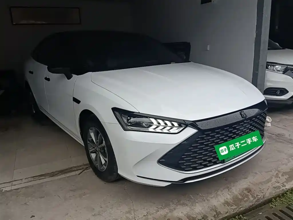 BYD Qin PLUS 2024 Glory Edition DM-i 55KM Leading фото 4