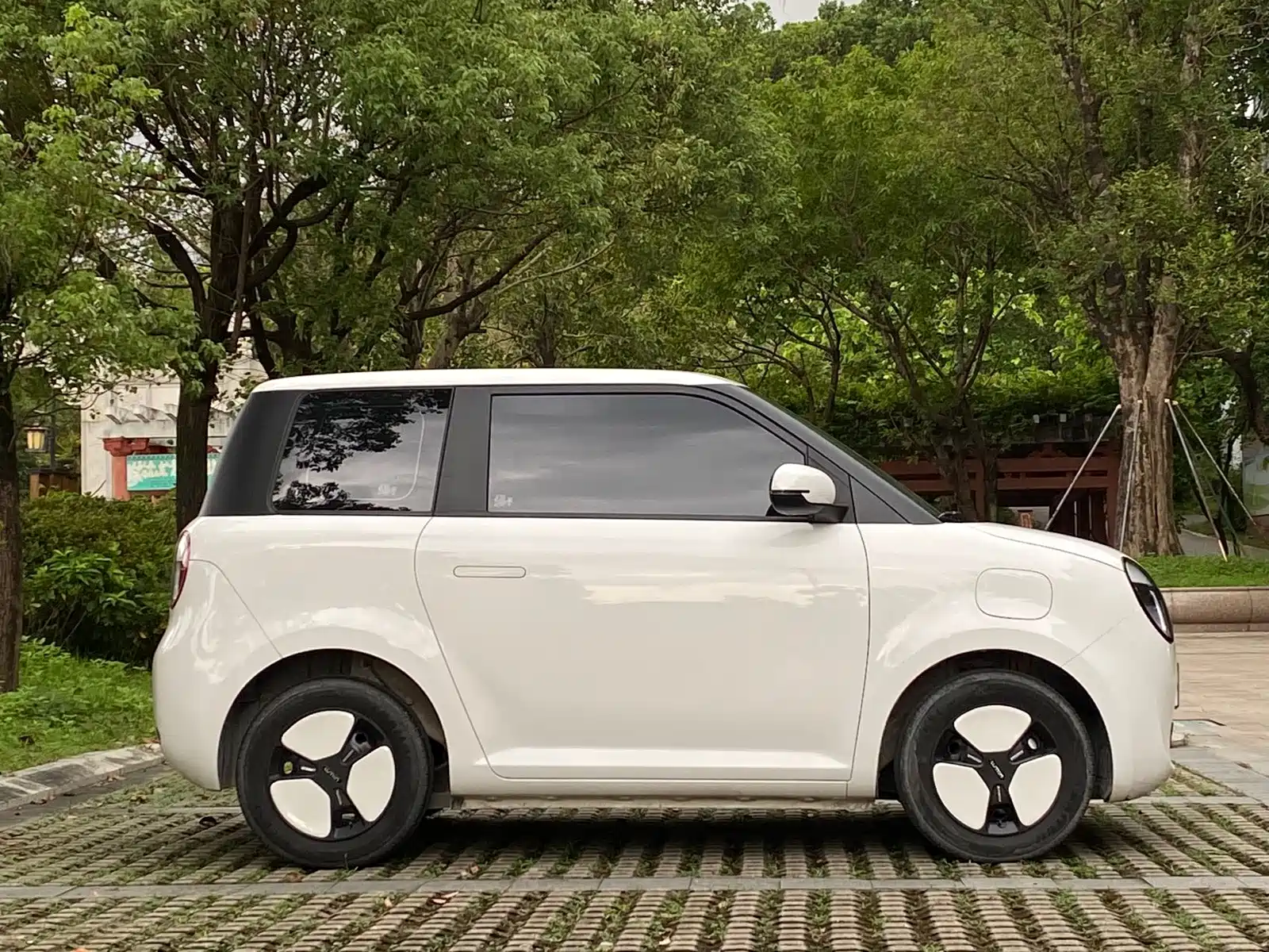 Photo 18 - Changan Lumin