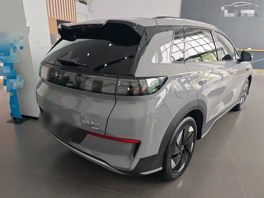 BYD Hai Shi 05 EV 2025 520KM Flagship Smart Navigation Edition фото 7
