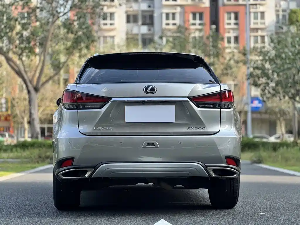 Фото 8 - Lexus RX