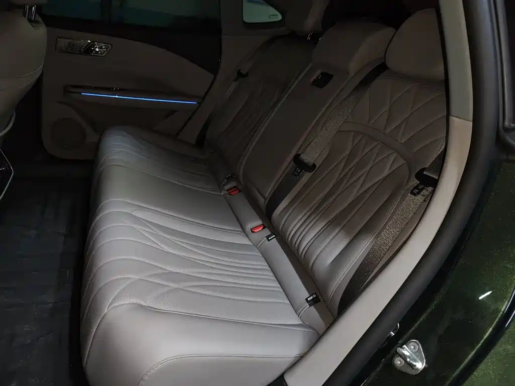 Geely Galaxy Galaxy Xingyao 8 2026 2025 130km EM-i Premium Edition