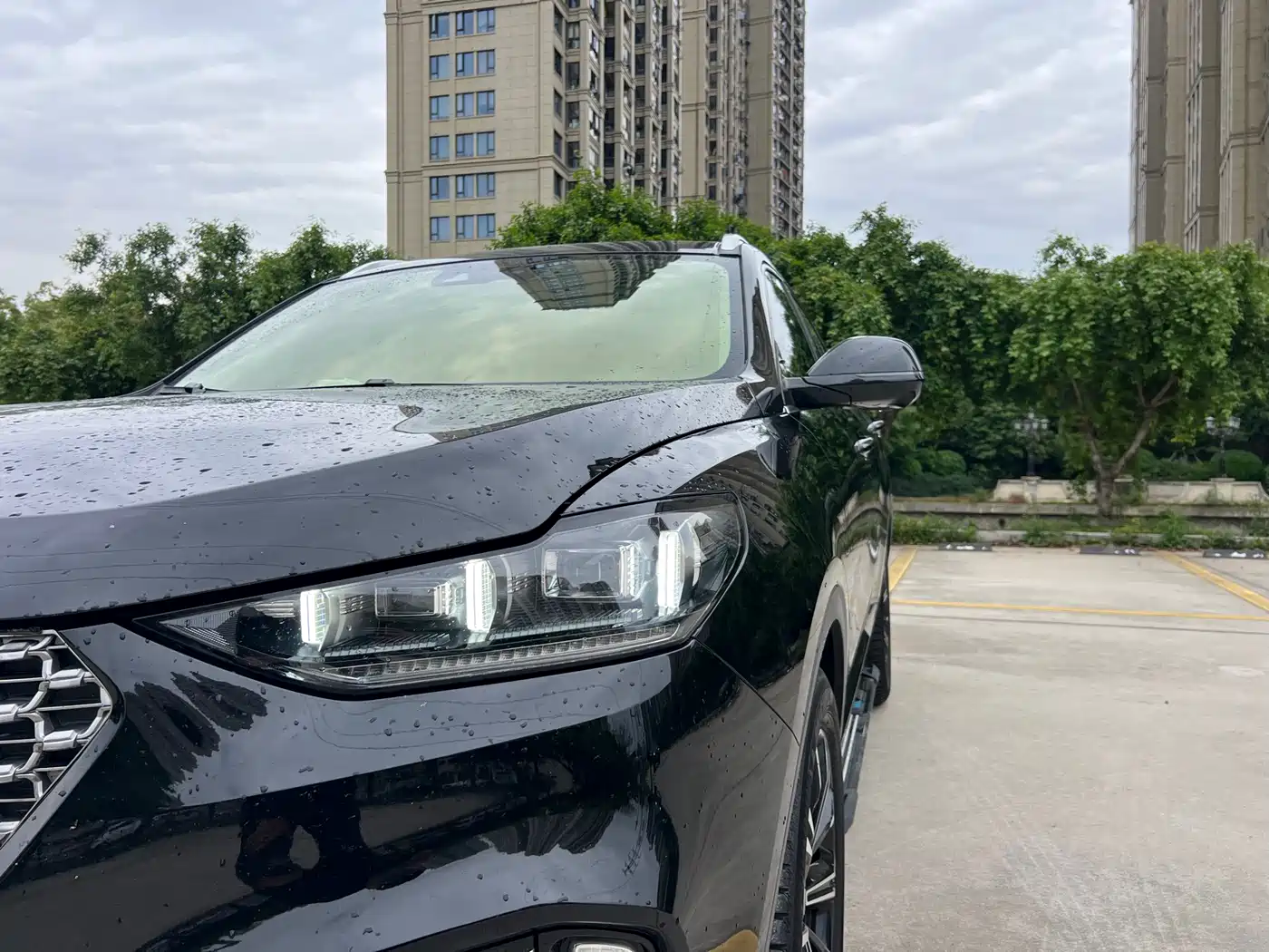 WEI PAI WEI BRAND VV6