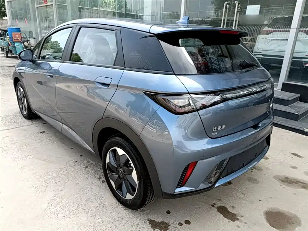 BYD Dolphin 2025 420km Freedom Edition фото 5