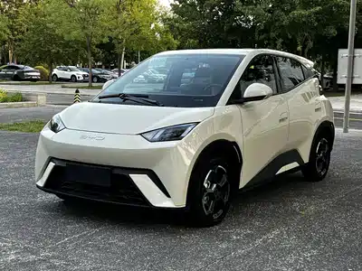 BYD Seagull