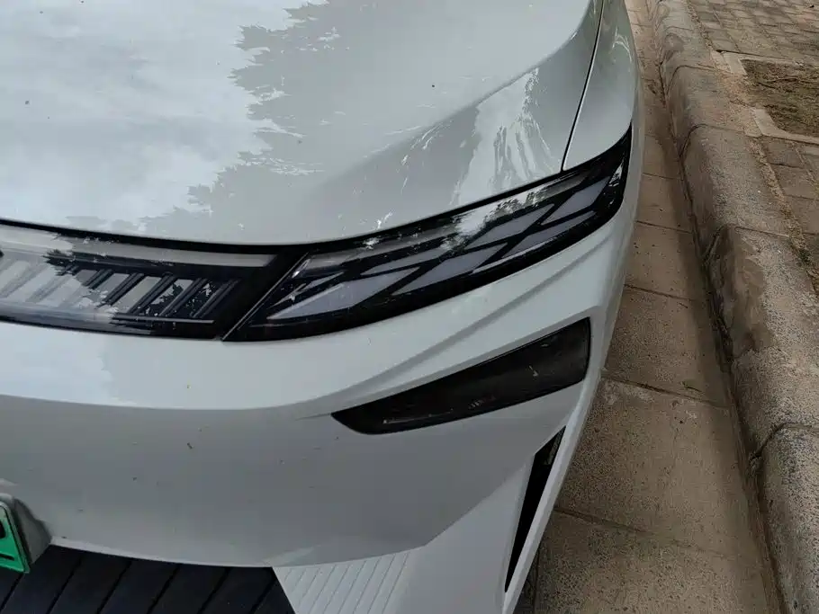 2025 Venucia VX6
