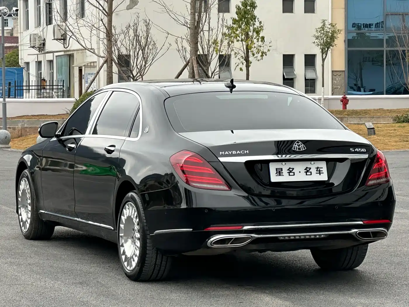 Mercedes-Benz Maybach S-Class 2020 S 450 4MATIC Collector's Edition фото 9