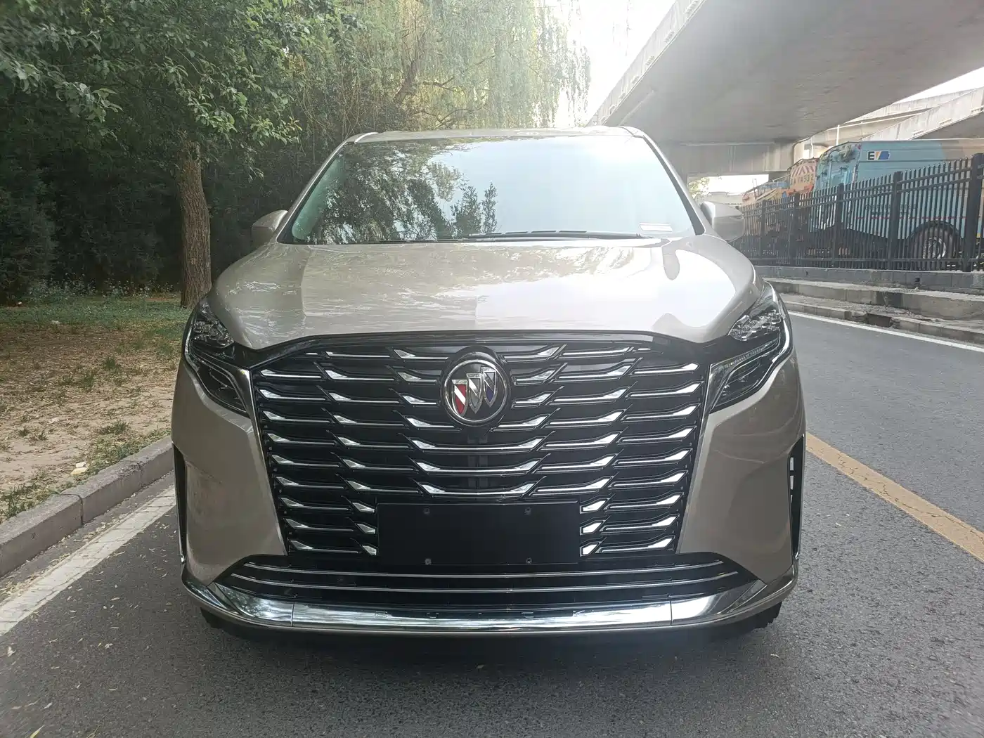 Buick GL8 2023 ES Landmaster Exclusive фото 3