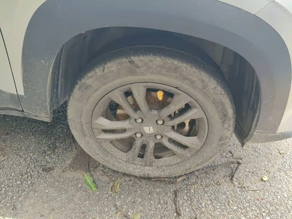 Baojun RS-3 2021 2020 1.5L CVT Smart Elite