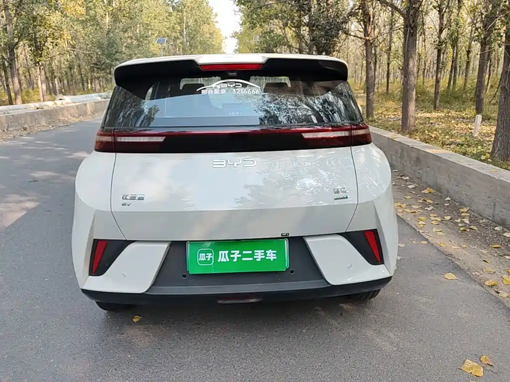 BYD Seagull 2026 2025 Smart Drive Edition 305km Freedom Version