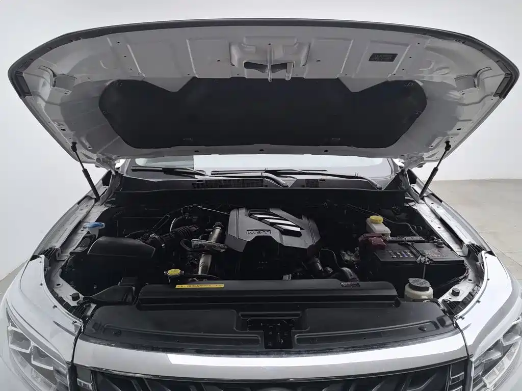 Фото 6 - Dongfeng Rich 7