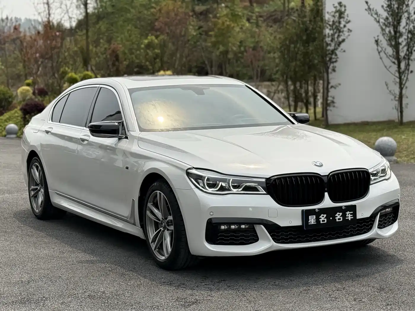 BMW 7 Series 2018 730Li Premium Type M Sport Package фото 15