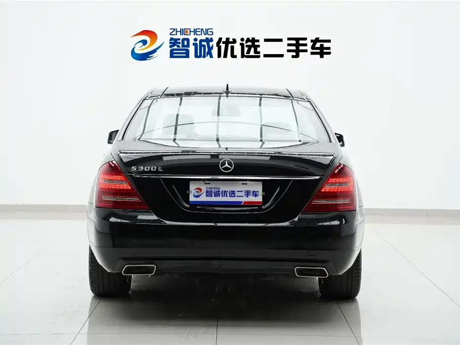 Mercedes-Benz S-Class 2010 S 300 L Luxury фото 4