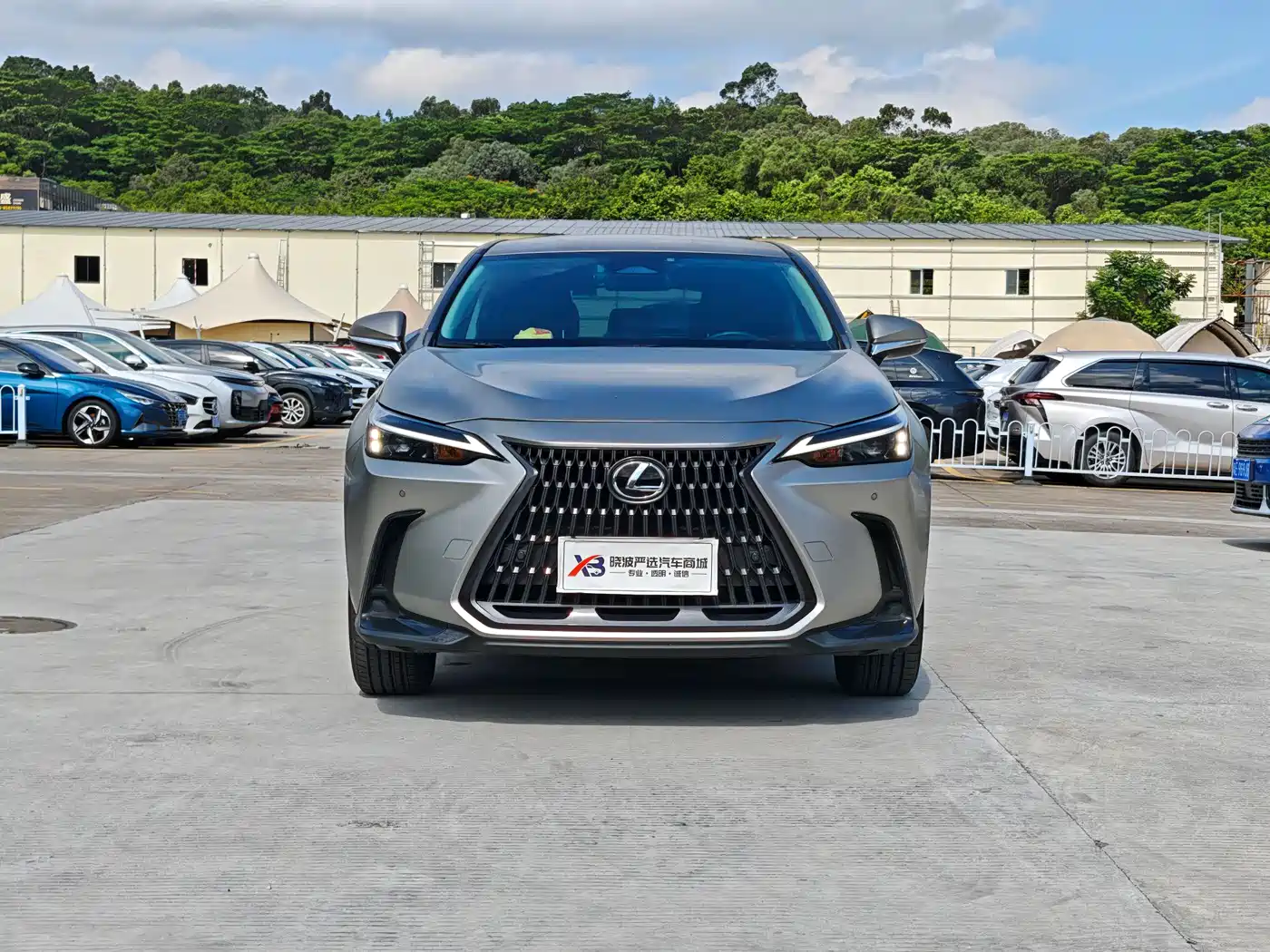Lexus NX 2024 2023 260 FWD Dynamic Edition