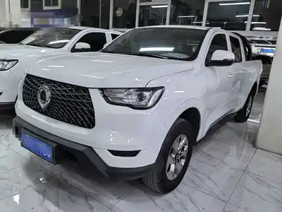 Great Wall Poer