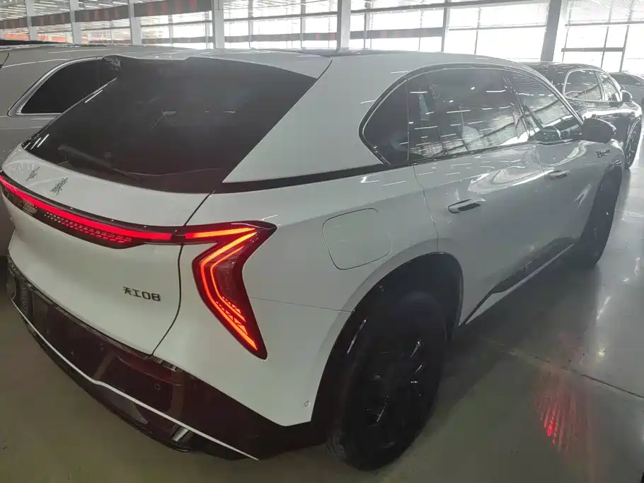 2025 Hongqi Tian Gong 08