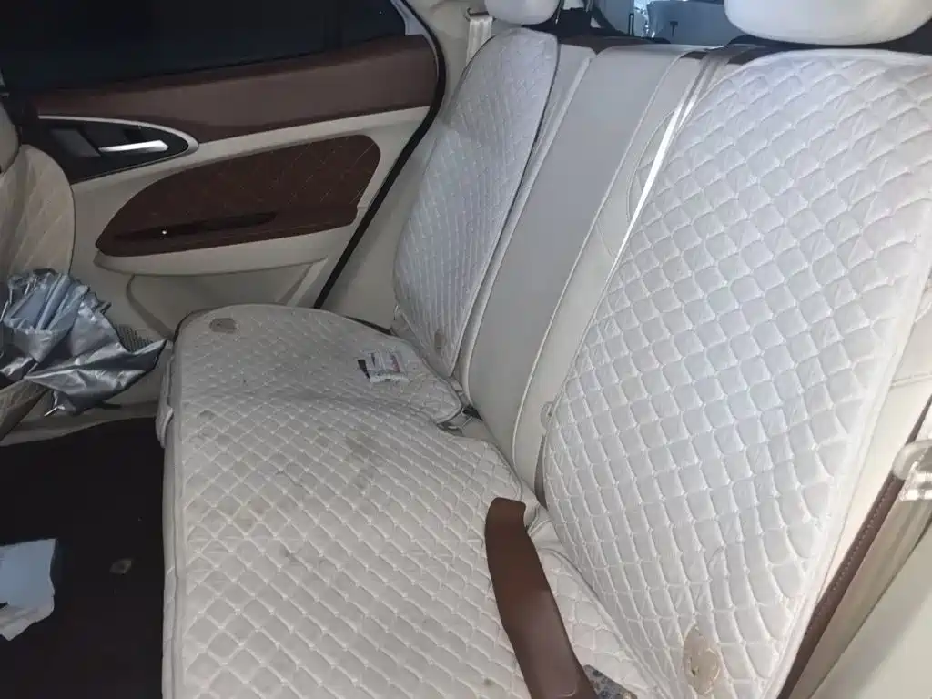 Ora Good Cat 2024 2023 401km Standard Range Luxury LFP