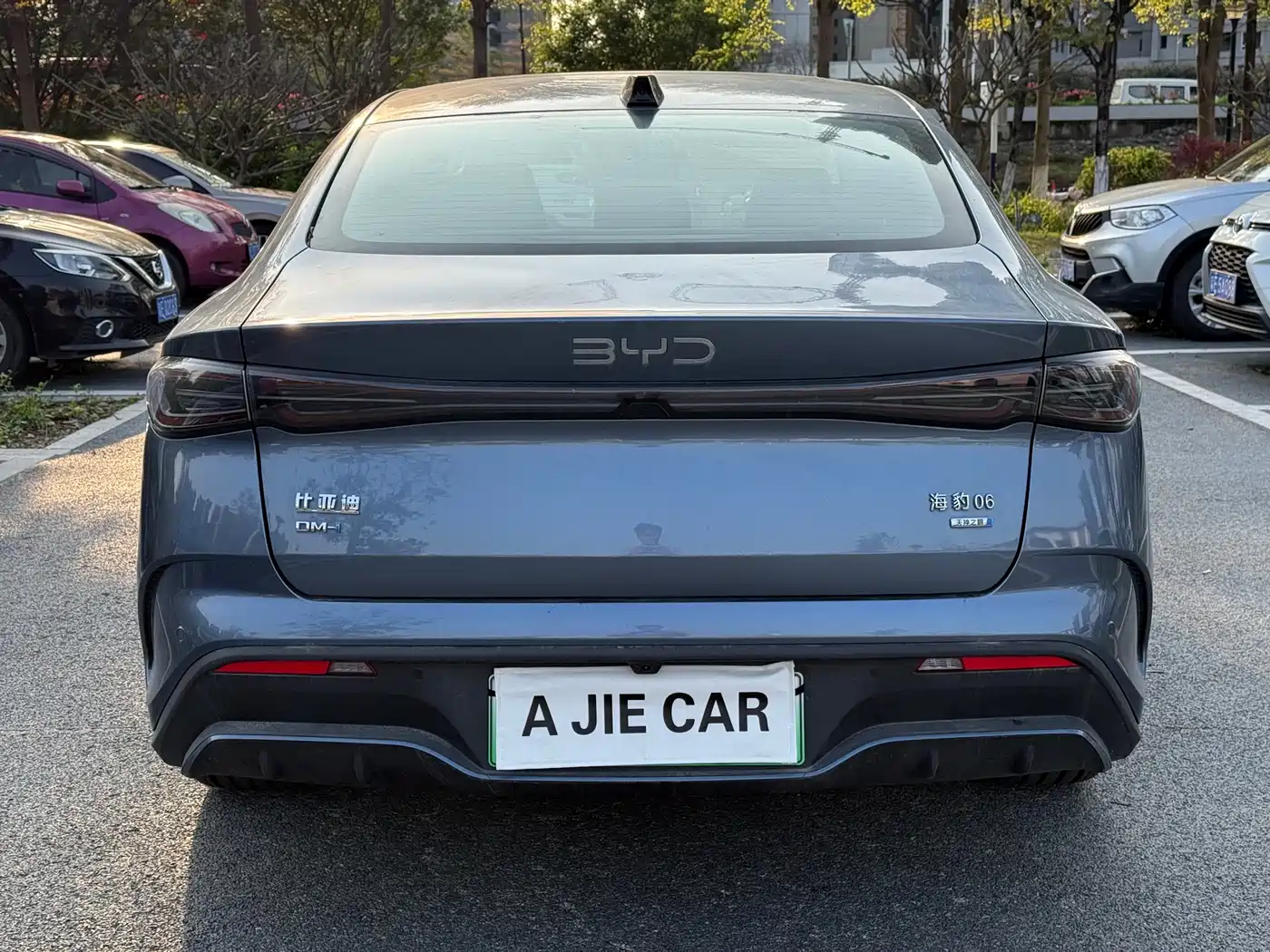 BYD SEAL 06 NEW ENERGY