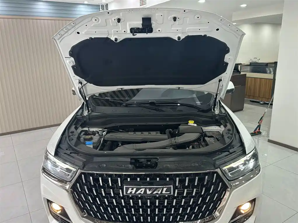 Haval H6 2023 National Trend Edition 1.5T Automatic Champion фото 20