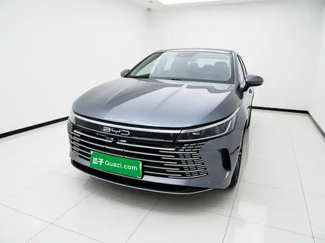 BYD Destroyer 05 2024