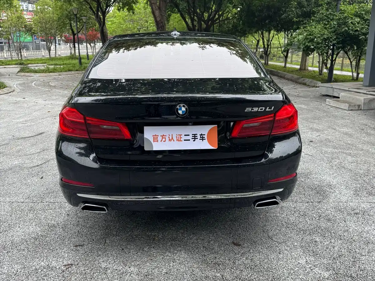 BMW 5 Series 2018 Facelift 530Li Exclusive Luxury Package фото 8