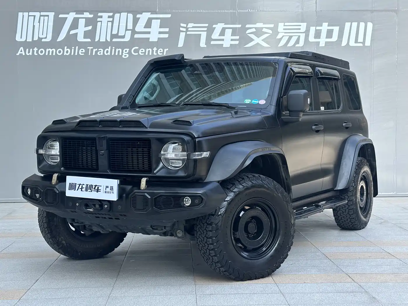 TANK 300