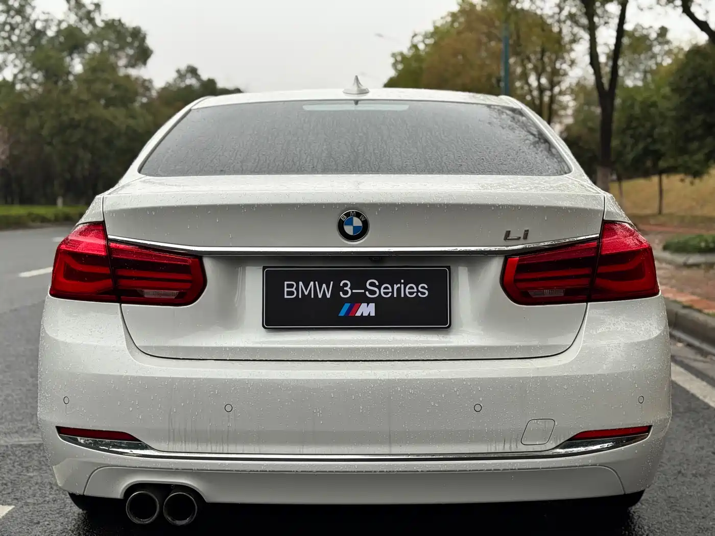 BMW 3 Series 2018 320Li Leading Luxury Package фото 8