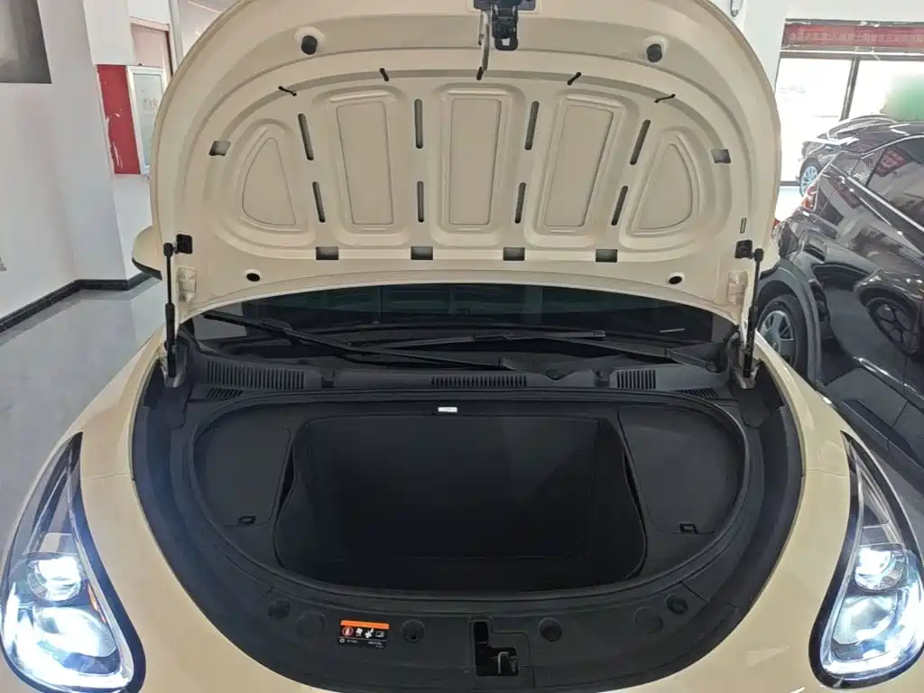 Geely Galaxy Starry Wish 2026 2026 Edition 310km Youth Version