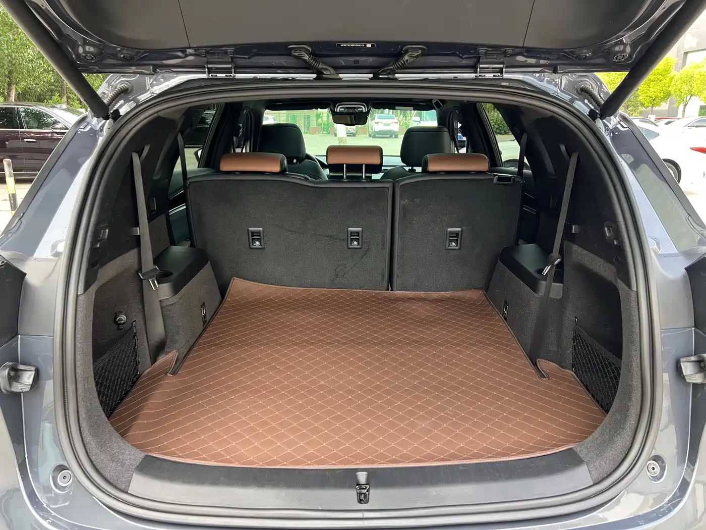 BYD Tang New Energy 2021 DM-i 112KM Premium фото 7
