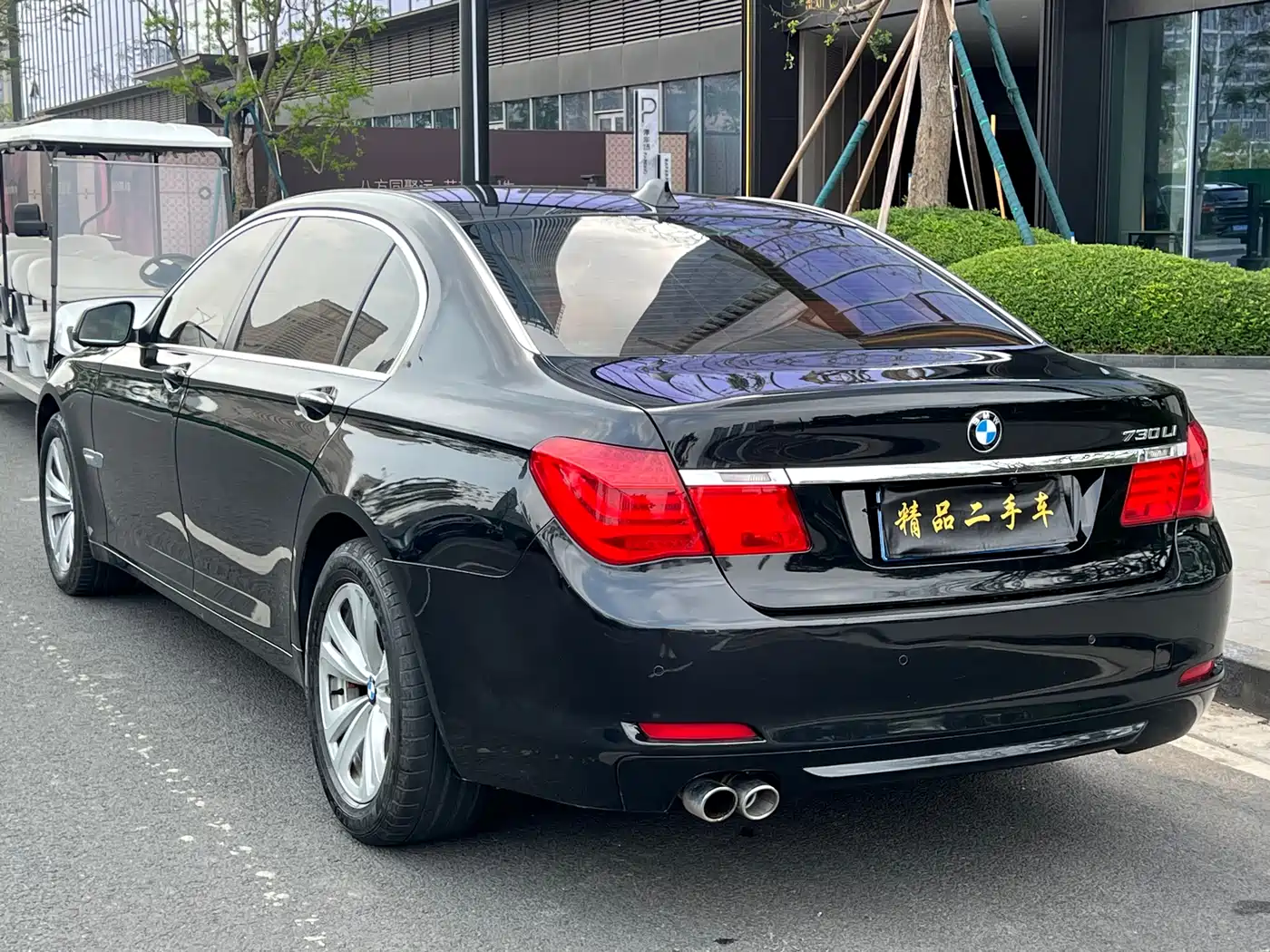 BMW 7 Series 2009 730Li Leading фото 5