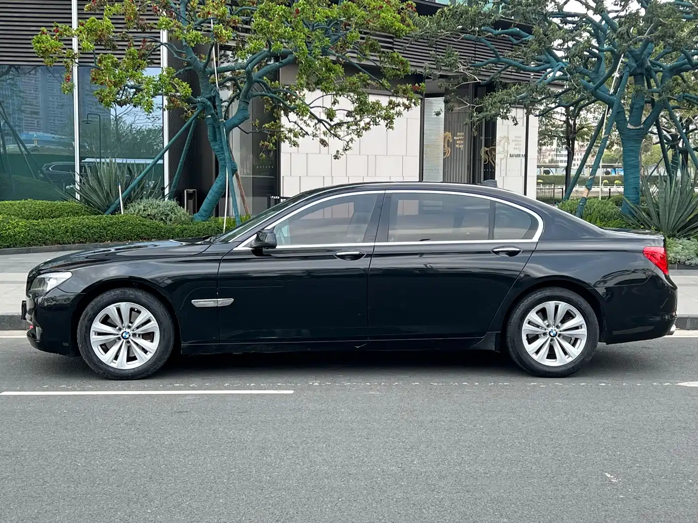 BMW 7 Series 2009 730Li Leading фото 4