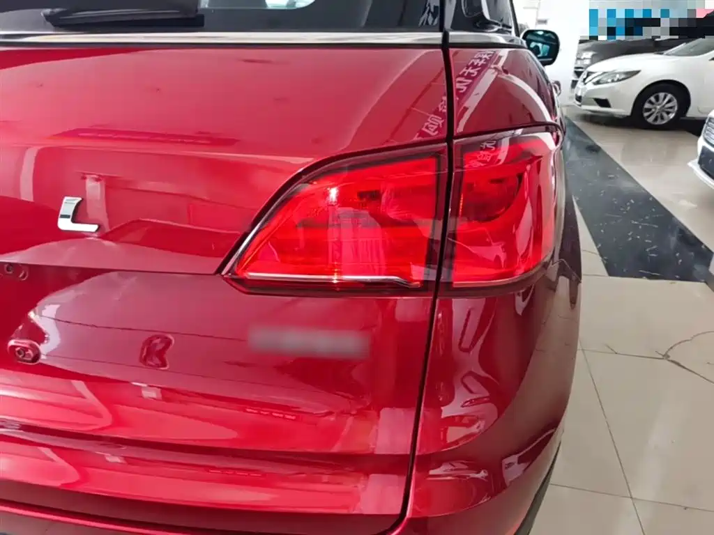 Haval H6 Coupe 2016 Blue Label 1.5T Automatic 2WD Elite фото 8