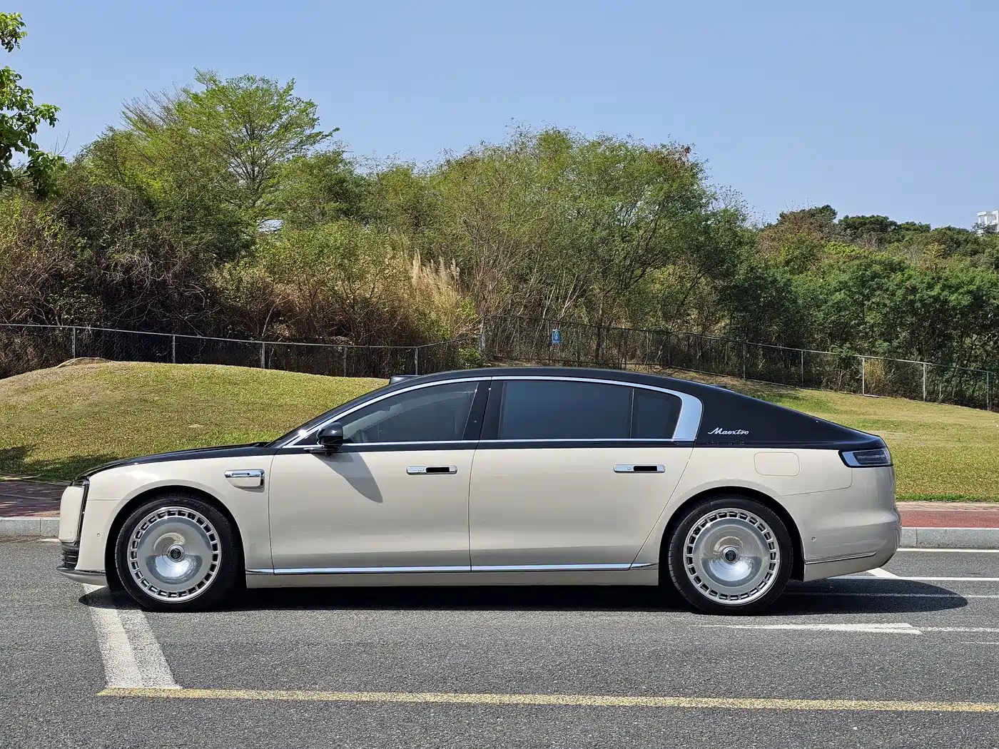 Zunjie S800 2025 Range Extender Starlight Executive 4-Seater фото 7