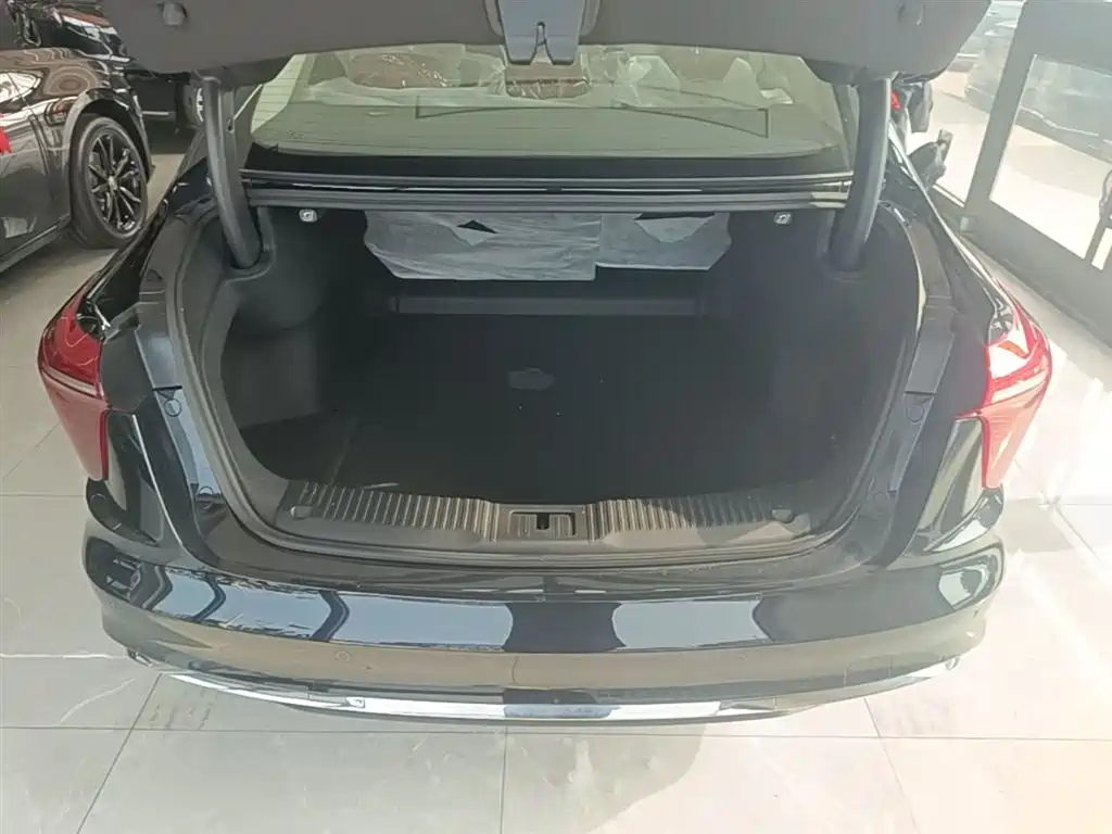 Hongqi H5 2025 2.0T Automatic Flag Celebration 500,000 Units Anniversary Edition фото 19