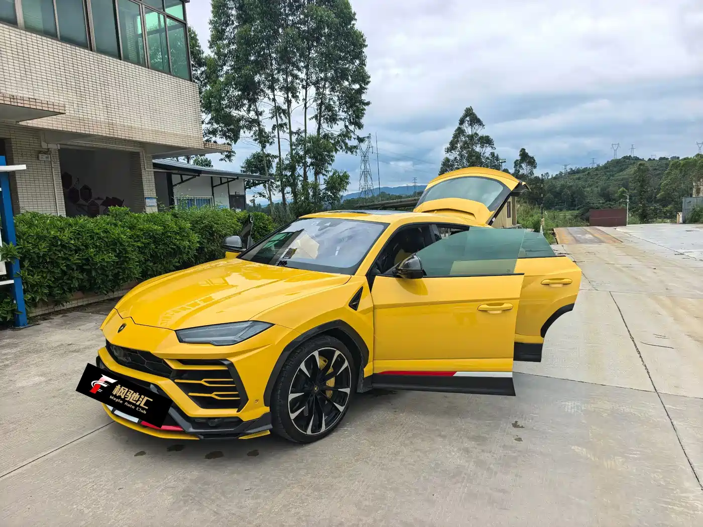 Lamborghini Urus 2018 4.0T V8 фото 2