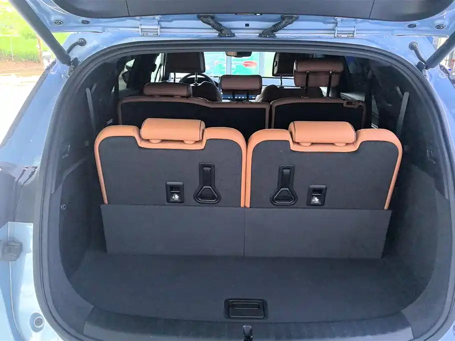 BYD Tang New Energy 2023 Model DM-i Champion Edition 112KM Premium фото 4