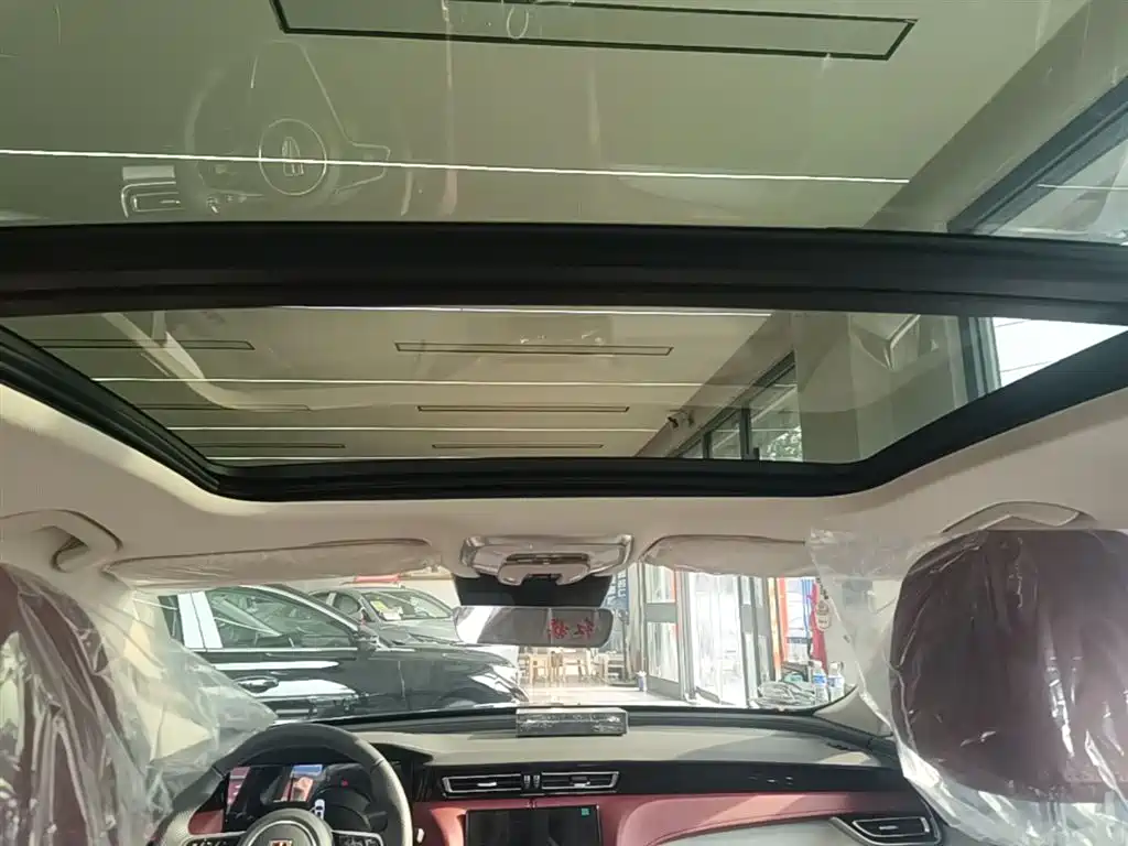 Hongqi H5 2025 2.0T Automatic Flag Celebration 500,000 Units Anniversary Edition фото 18