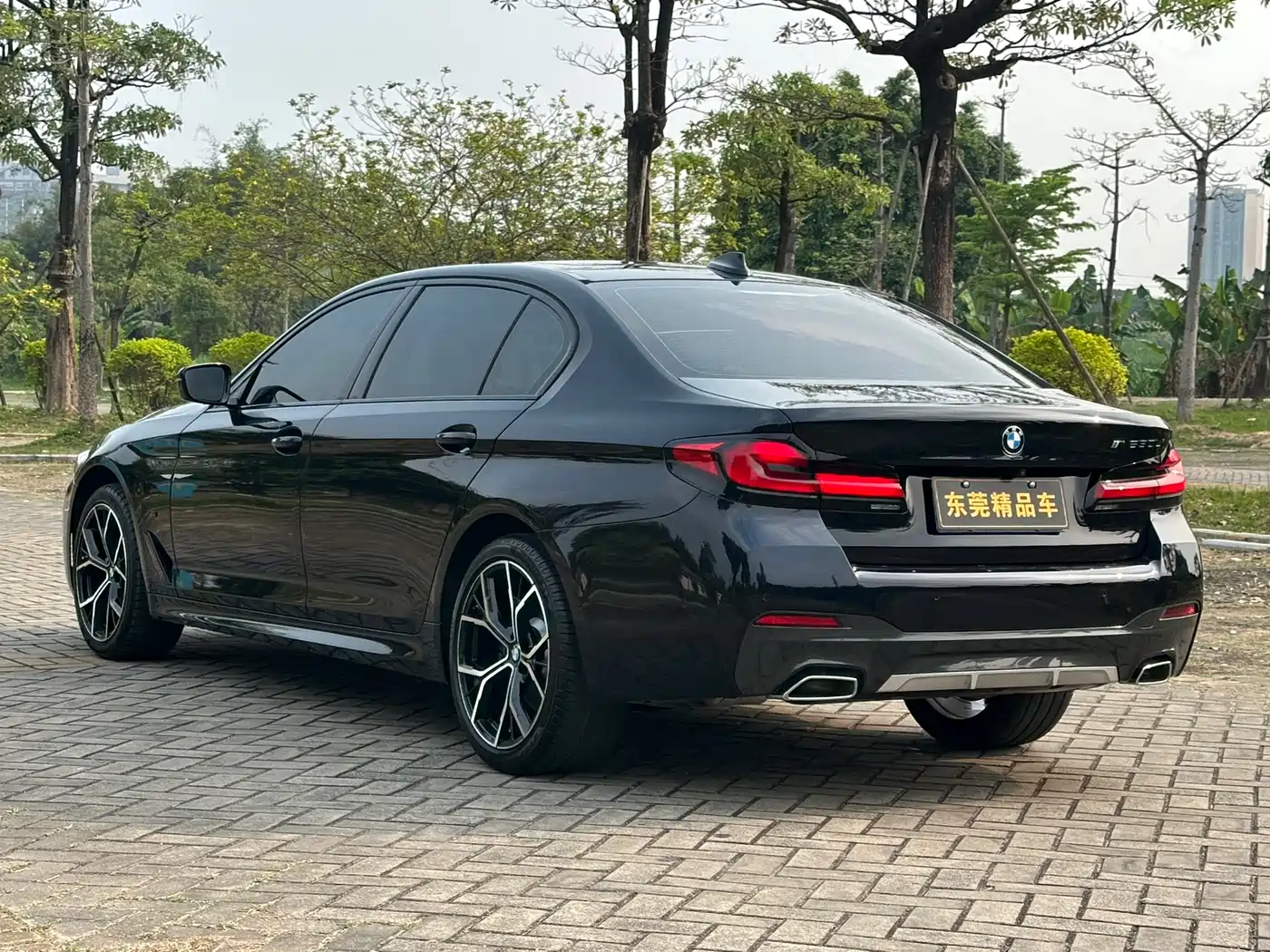 BMW 5 Series 2021 530Li Leading M Sport Package фото 5