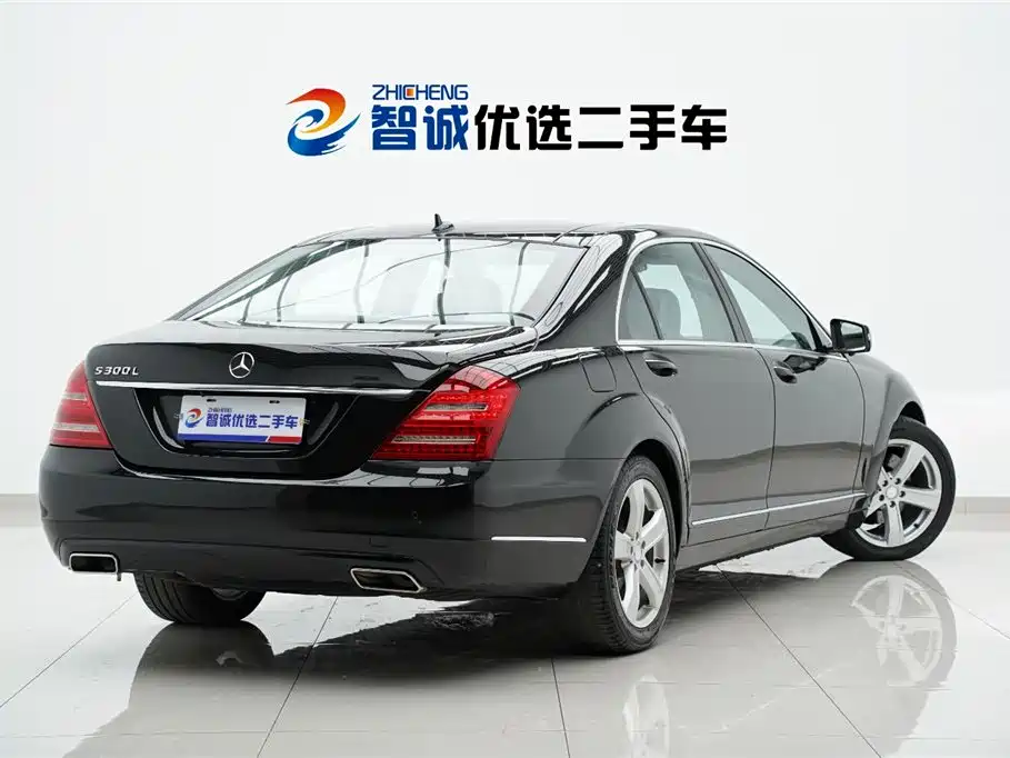 Mercedes-Benz S-Class 2010 S 300 L Luxury фото 35
