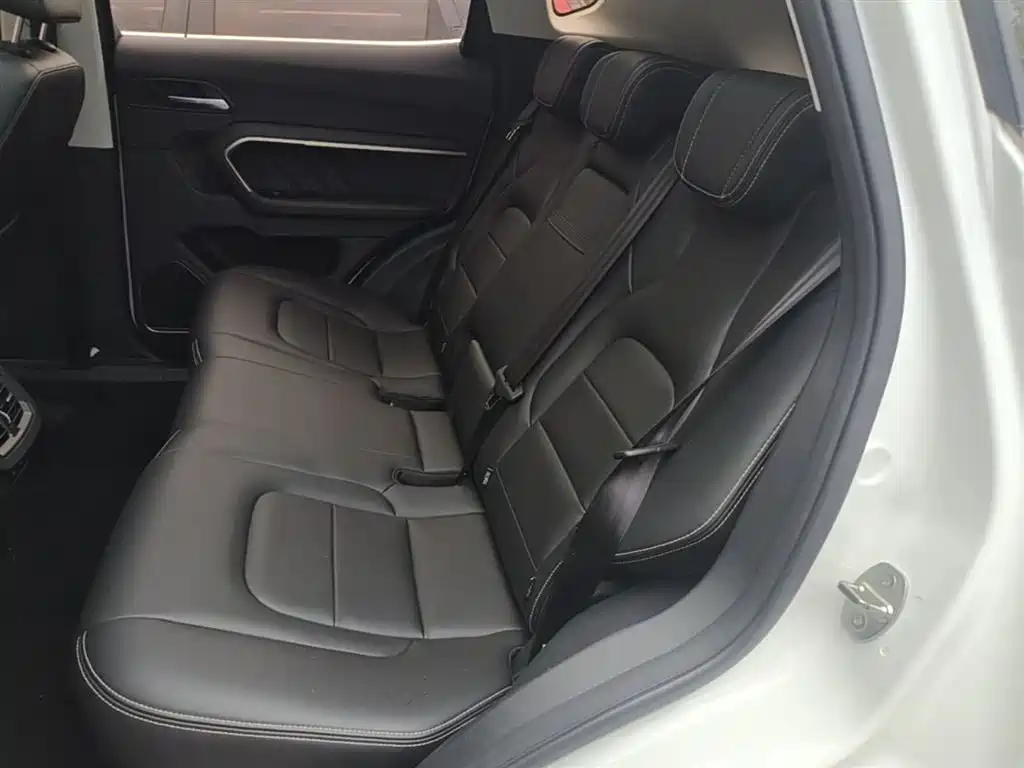 Haval H6 2019 Red Label 2.0GDIT Automatic Champion Edition фото 17