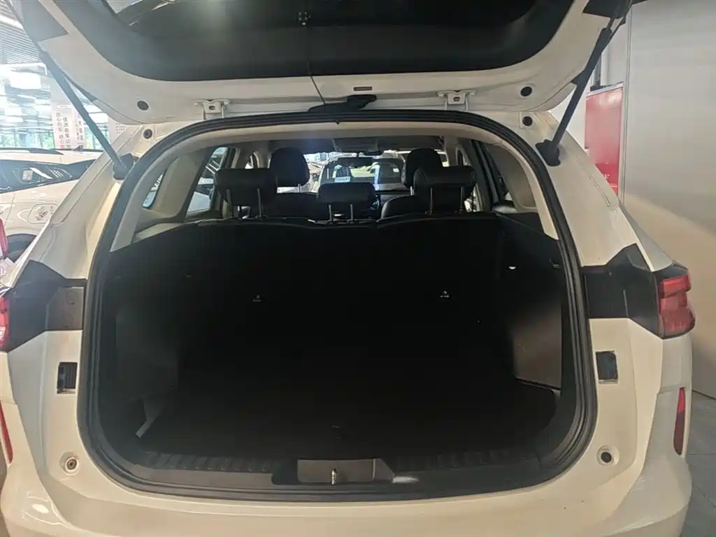 Haval H6 2021 3rd Gen 1.5T Auto 2WD Pro фото 19