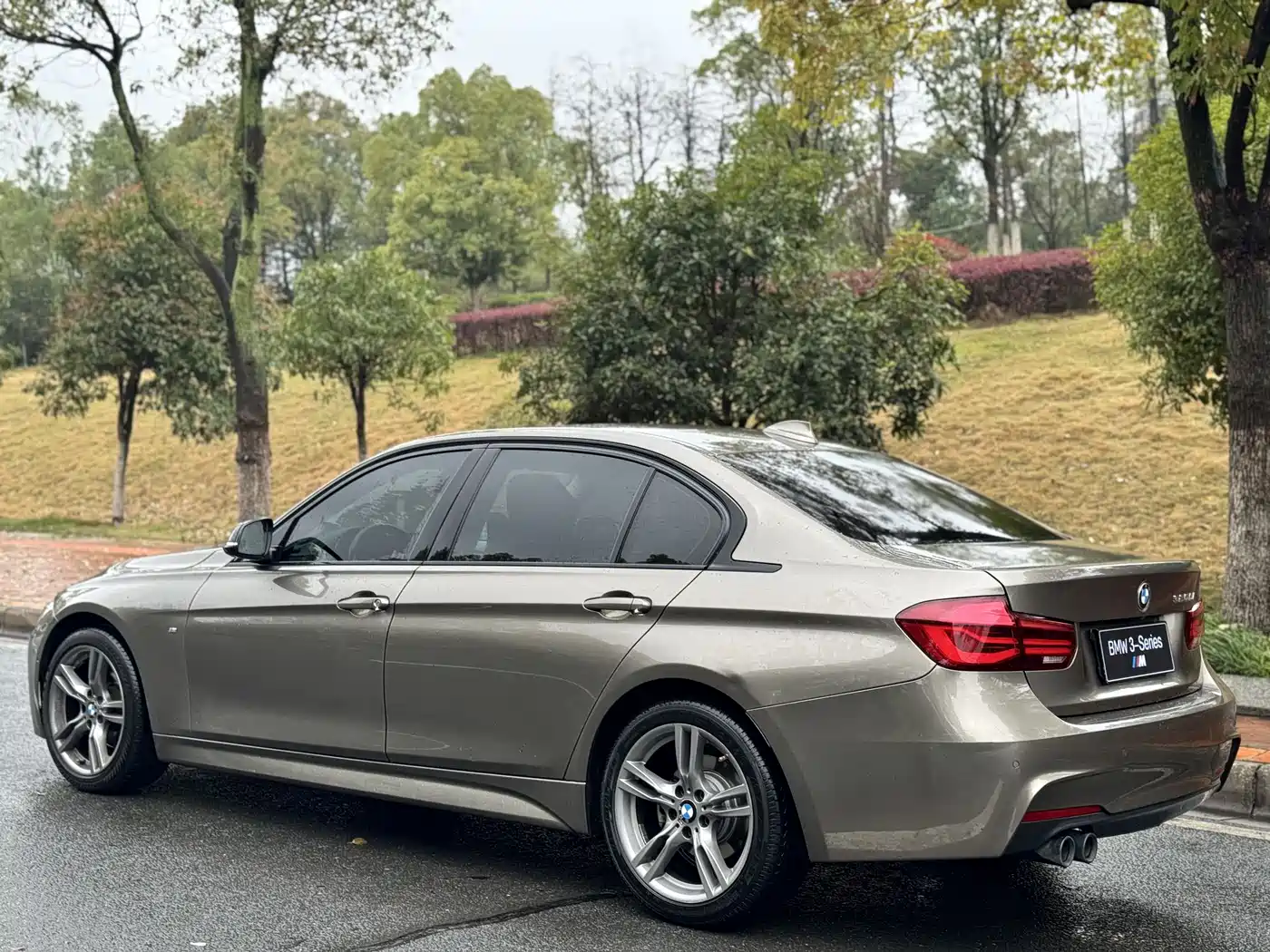 BMW 3 Series 2019 320Li M Sport Black Night Edition фото 9
