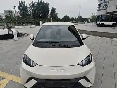 BYD Seagull