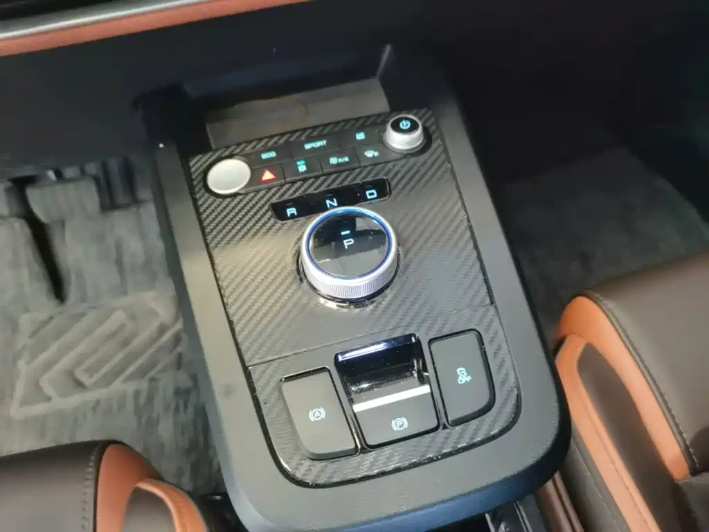 BYD e2 2021 2021 Luxury Edition