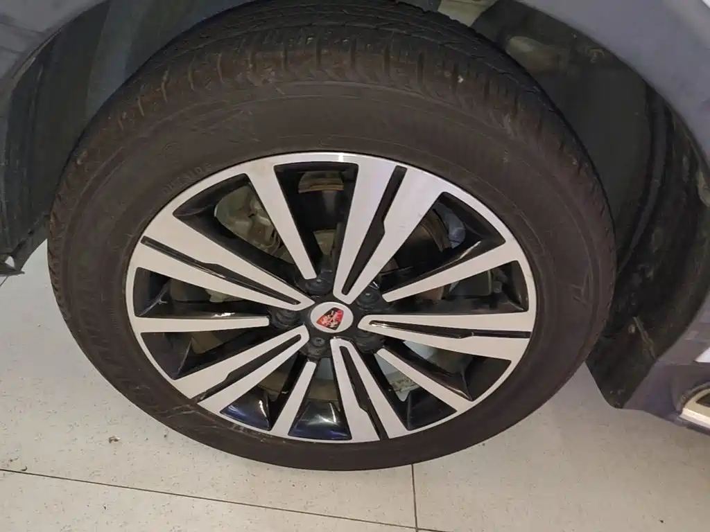 Фото 23 - Roewe RX5