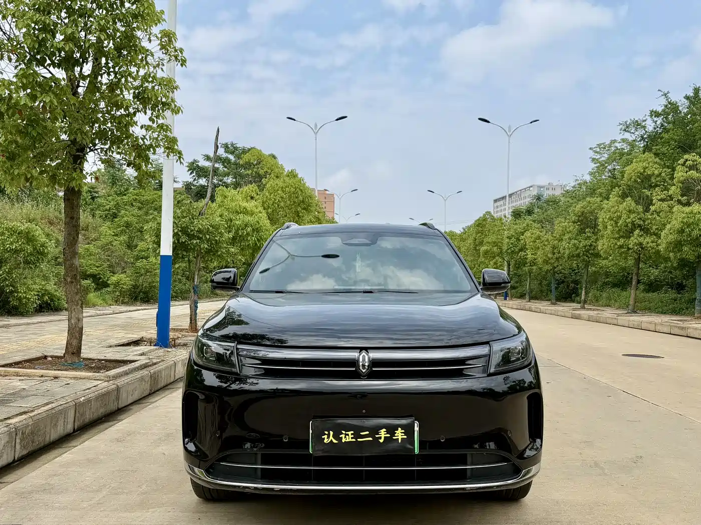 AITO Wenjie AITO M7 2024 1.5T Smart Drive RWD Pro 5-seater фото 2