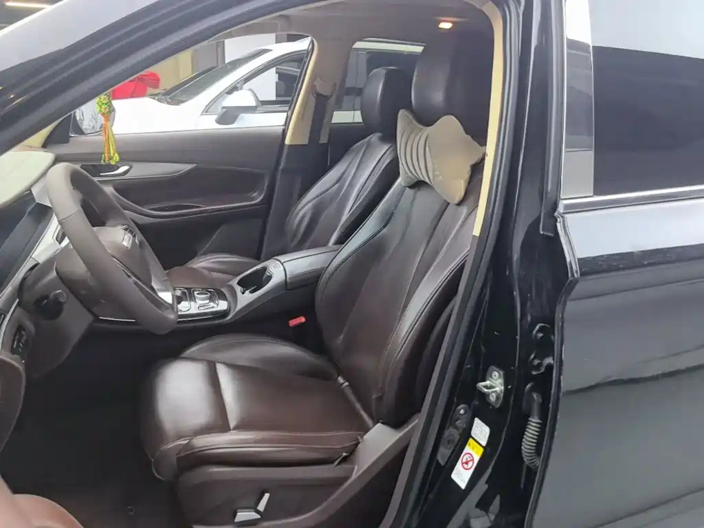Leopaard Mattu 2019 2018 1.6T GDI DCT Luxury