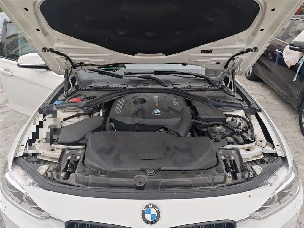 BMW 3 Series 2019 320Li M Sport Package фото 11