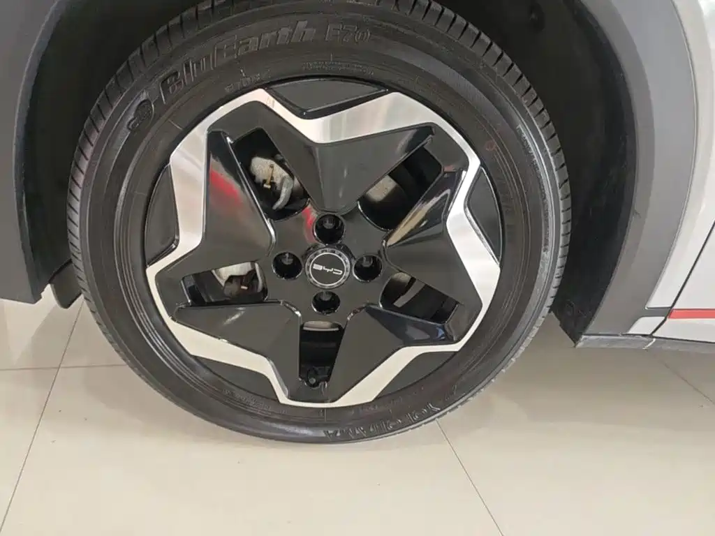 BYD Dolphin 2022 2021 405km Freedom Edition